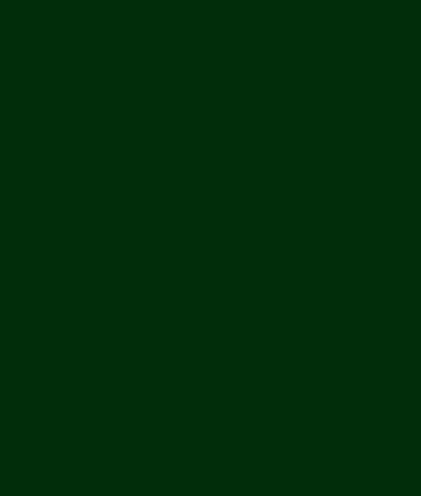Mørkegrønne strømpebukser i store størrelser