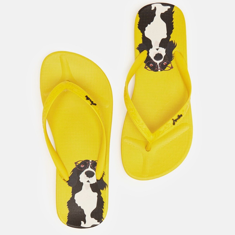 Se Flip Flops Yellow Dog hos Amamiko