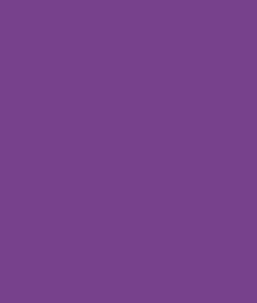 Amelie Purple Strømpebukser 40 denier fra Festival Strømper