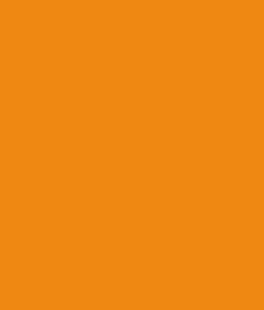 Tangerine, Orange Pamela Mann Plus Size Strømpebukser i 50 Denier