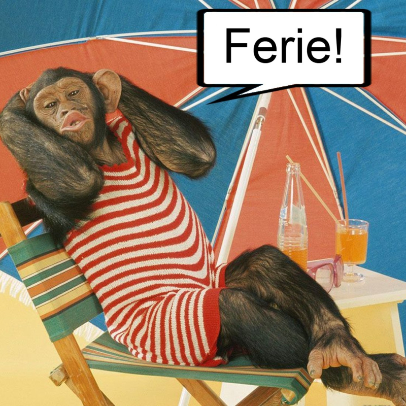 Sommerferie